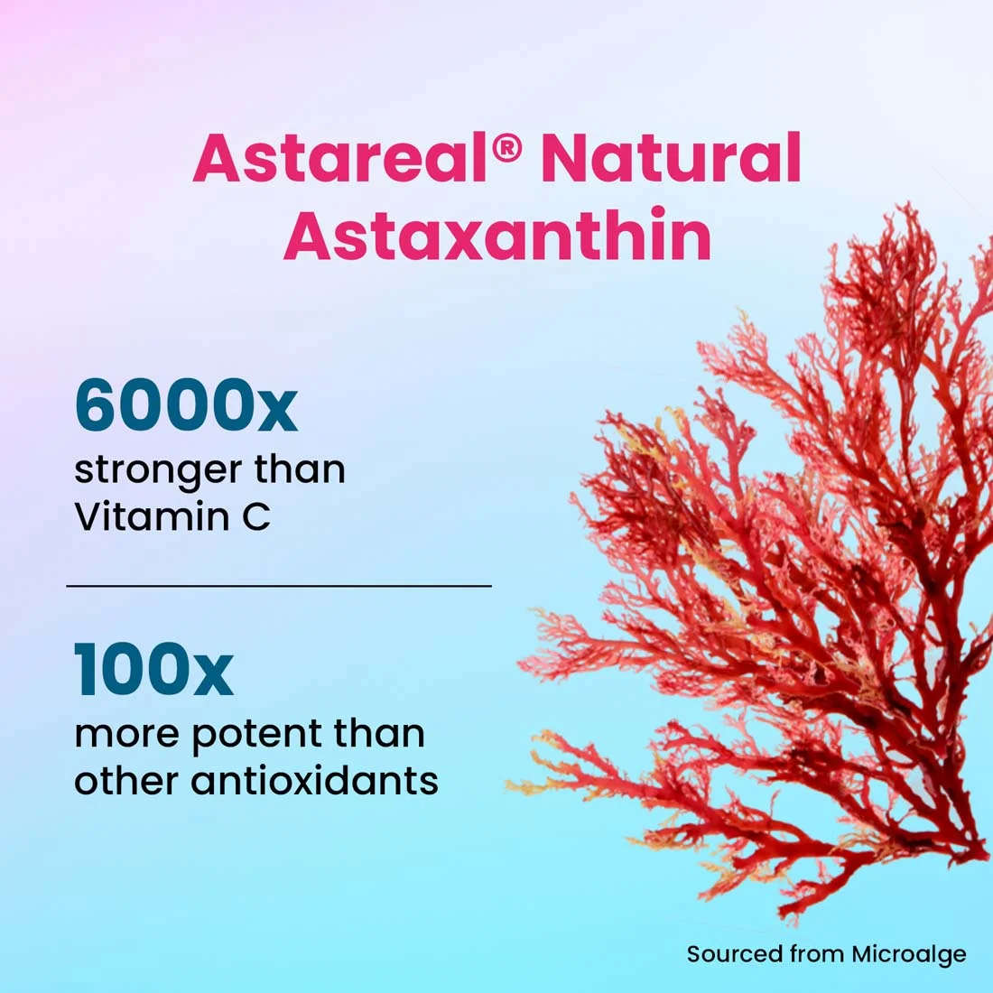 Mighty Collagen - Pure 8000mg Japanese Marine Collagen